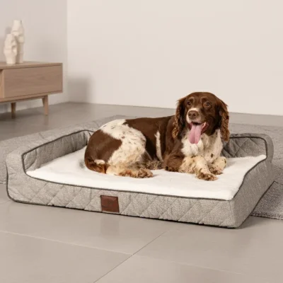 OrthoLuxe Bed for Dogs