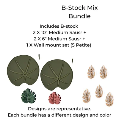 Mix Accessory Bundle- B-Stock - 2 X 10 inch Saucers + 2 X 6 inch Saucers + Wall Mounts Set of 5