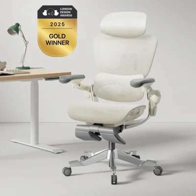 Hinomi H2 Pro Ergonomic Office Chair with Selectable Footrest