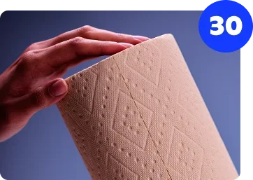 PlantPaper Towel - 30 Rolls