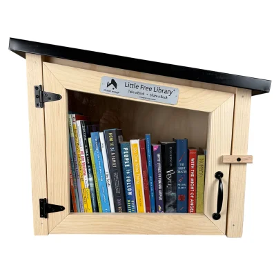 Modern Unfinished Little Free Library