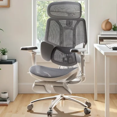 HBADA E3 Ultra Ergonomic Office Chair