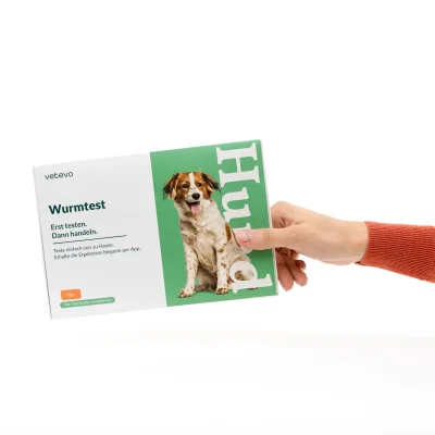 Wurmtest Basic Hund