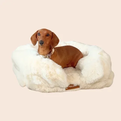 Luxe Orthopedisch Bed