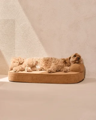 SpineAlign™ Dream Bed