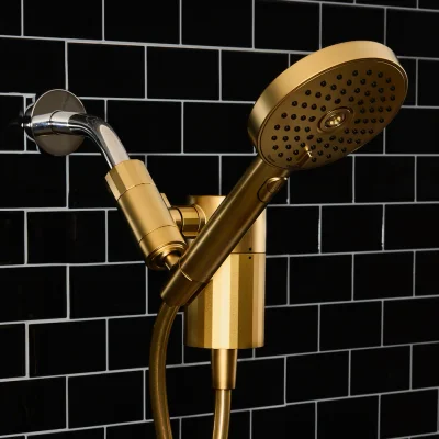 Metallic Hand Shower + Filter