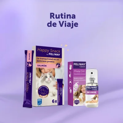 Rutina de Viaje - Salmón x6